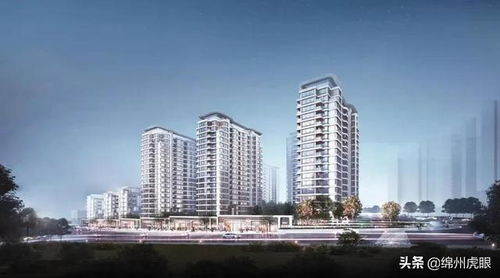 這座豪宅,在這個(gè)百強(qiáng)房企系統(tǒng)里,全國(guó)只有兩座,一座落址園藝山