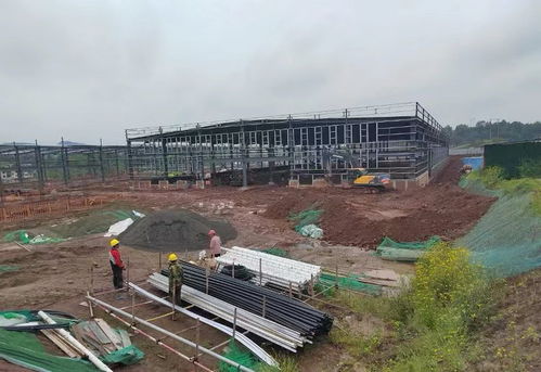 達川區(qū) 加快項目建設(shè) 厚植產(chǎn)業(yè)基礎(chǔ)