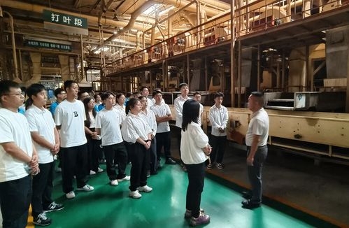 四川涼山州局 公司 新進員工到四川煙葉復(fù)烤公司會理復(fù)烤廠交流學(xué)習(xí)