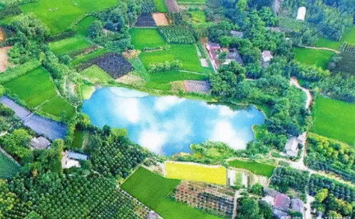 23億負(fù)債壓頂，22年老牌房企申請破產(chǎn)！阜陽房企承壓，四川地產(chǎn)亦現(xiàn)隱憂