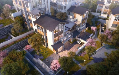 歸原小鎮產品發布會首秀驚艷山城，仙女山度假房地產迎來震撼盛會